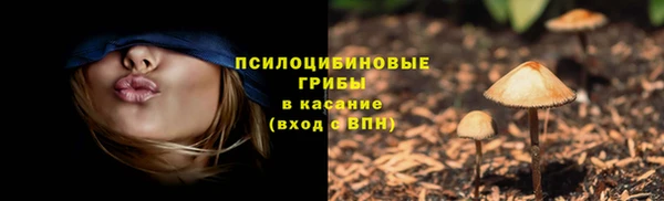 ГАЛЛЮЦИНОГЕННЫЕ ГРИБЫ Алексин
