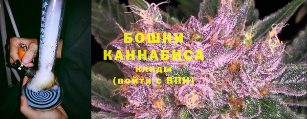 ГАЛЛЮЦИНОГЕННЫЕ ГРИБЫ Алзамай
